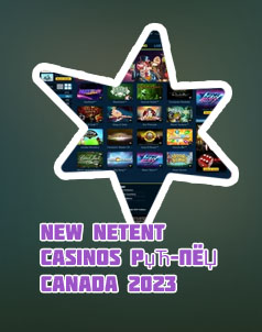 No deposit casino bonus netent